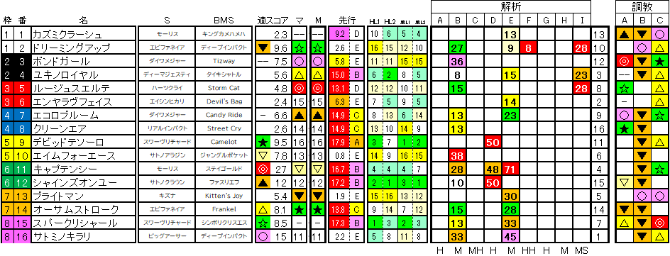 2024　ＮＺＴ　調教適性